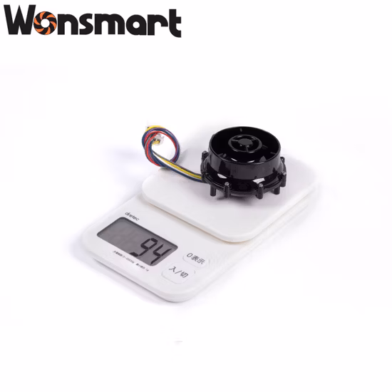 Бесщеточный воздуходувка 12 В постоянного тока для аппарата CPAP/Bipap